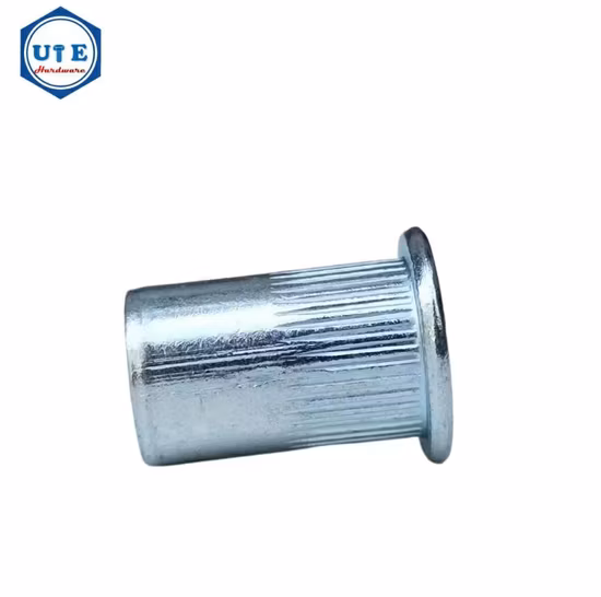 Porca de corpo redondo de cabeça hexagonal não padrão com cabeça hexagonal através de parafuso